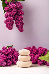 Obraz na płótnie Canvas Wood stones podium and lilac flowers. Concept scene stage showcase for new product, banner, promotion sale, cosmetic, presentation