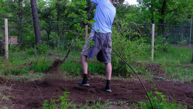 Slow motion of man raking soil leveling ground for gardening in the back yard wooded area before nightfall.