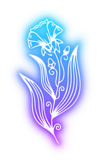 Obraz premium Set of Flower neon