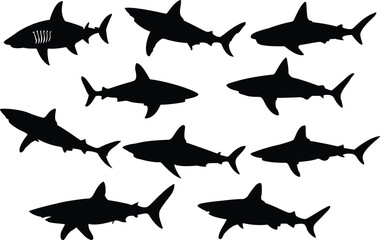 Set of shark silhouettes. Shark icons set. Vector illustration.