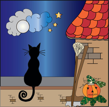 cat on wall under the halloween moolight