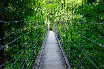 渓谷にかかる吊り橋