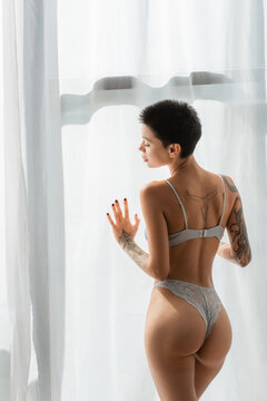 back view of young, desirable and tattooed woman with short brunette hair, in bra and lace panties, enjoying natural light while standing near white curtain in modern bedroom at home
