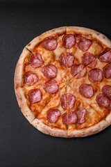 Tasty fresh pizza with salami, cheese, tomatoes, spices and salt