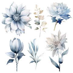 Set of floral watecolor silver and grey. flowers and leaves. Floral poster, invitation floral. Vector arrangements for greeting card or invitation design	