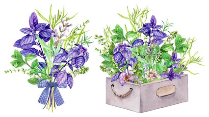 Bouquet of rosemary, marjoram, sage and thyme, basil, mint, tarragon. Composition with a bouquet of fresh greenery in a wooden box on a white background. Herbs, spices for Italian cuisine. Provence.