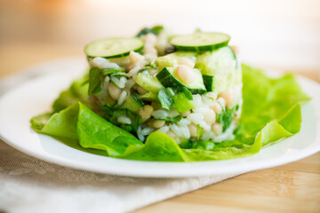 fresh summer salad with beans, rice, cucumbers and other vegetables in a plate