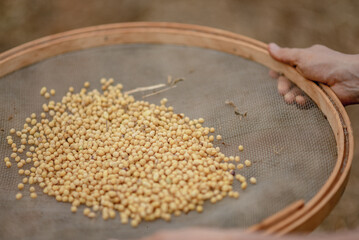 hands holding a bowl of soy