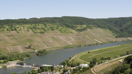 Fototapeta premium An der Mosel bei Detzem