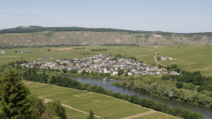 Obraz premium Moseltal bei Detzem