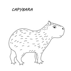 Cute capybara. Black and white illustration. Coloring page.