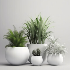 plants_in_ceramic_pots_isolated_on_white_background, generative AI