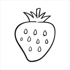 Fototapeta premium strawberry. Hand drawn vector illustration