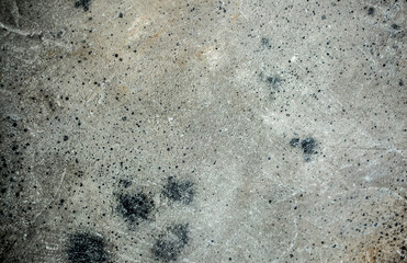 Dark background of decorative plaster with abstract spots. Unusual black or gray wall texture with beautiful patterns, creative surface background. Finishing coating for building cladding.