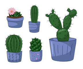 Vector hand drawn isolated cactus and succulent set. Cute green cactus in flower pots.