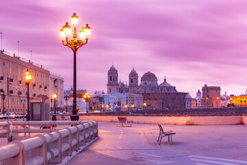 Cathedral de Santa Cruz in the pink morning in Cadiz, Andalusia, Spain