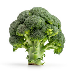 Broccoli isolated in white background