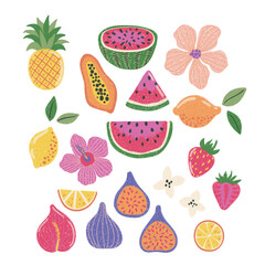 Tropical fruits and flowers, hand drawn on a white background, vector clipart
