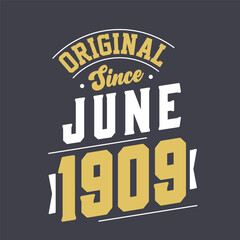 Original Since June 1909. Born in June 1909 Retro Vintage Birthday