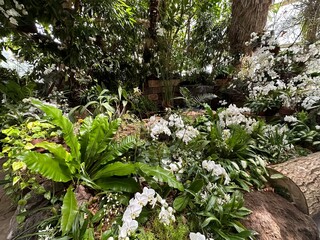 Insel Mainau