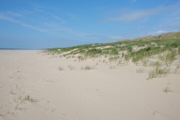sand dunes on the beach