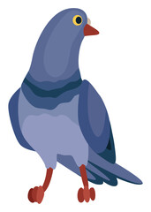 Funny pigeon character. Cartoon dove isolated on white background. Wild winged creature, urban fauna