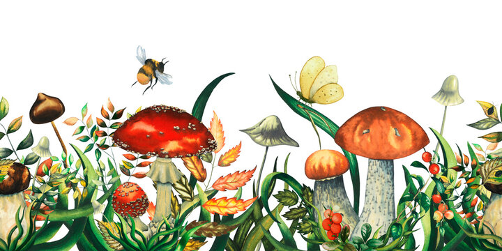 Seamless watercolour border with wild forest red fly agarics, porcini, red mushrooms, leaves, grass, toadstools, butterfly, bumblebee, bug. Isolated hand drawn illustration on white background.