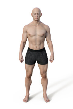 A 3D illustration of a male body with mesomorph body type