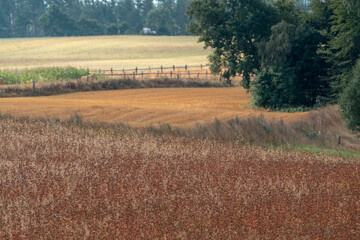 Krajobraz kaszubski w północnej Polsce z polami