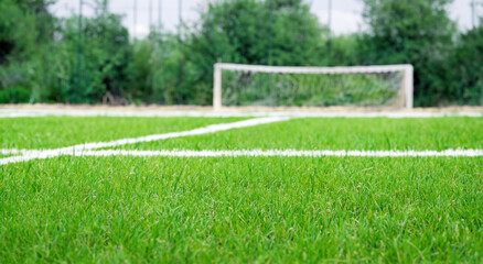 soccer field green grass