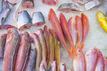 whole fresh fishes are offered in the fish market Fa Yuen Street Market in Hongkong