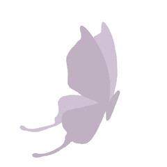 butterfly purple in garden minimal pastel hand draw cute decorate