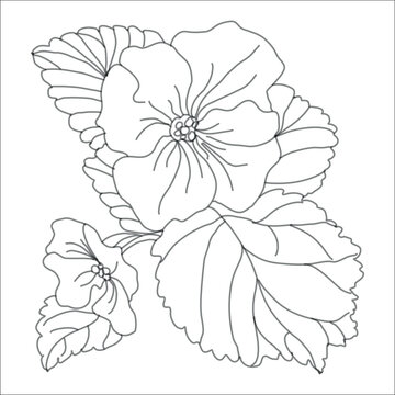outlined flower and leaves drawing clip art preview