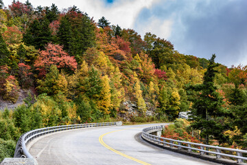 Along the NC section of the Blue Ridge Parkway in the Fall.