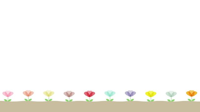カラフルな花が並ぶデコレーション