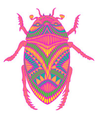 Bright cartoon bizarre bug with many patterns neon bright color, isolated on white. Fun cute psychedelic beetle doodle style. Decorative colorful insect for design tatoo, sticker, label, tshirt.