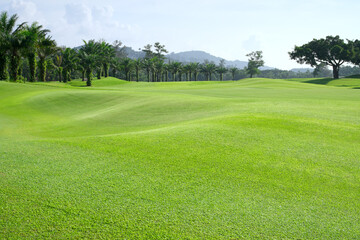 Obraz premium beautiful golf course view, Golf Course with beautiful putting green, Fresh green grass on the golf course