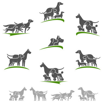 Dog set. Collection icon dogs. Vector