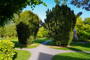 Trimmed bush in the Parc des Capucins (