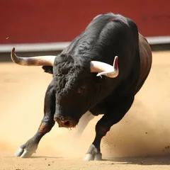 Wandcirkels aluminium Spanish bullfight bullfight with bullfighter © Олег Прокопенко