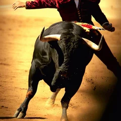 Wandcirkels aluminium Spanish bullfight bullfight with bullfighter © Олег Прокопенко