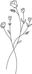 Rose, flower and leaf botanical line art and doodle illustration.