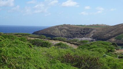 Naklejka premium Hawaii Hanaumabay oahu, 