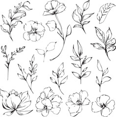 Botanical artwork decor, vector set of botanical leaf simple outline sketch doodle hand drawn illustration, botanical drawings of flowers, botanical drawings of wildflowers, botanical drawings.
