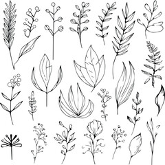 Wild flowers drawings, Wild flowers Set on the doodle art, coloring page vector sketch hand-drawn illustrations, and beautiful botanical element, Delicate Flowers Print. leaf line art.