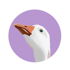 illustration of a bird