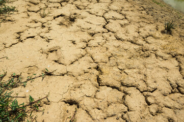 Dried soil surface with deep cracks  background.