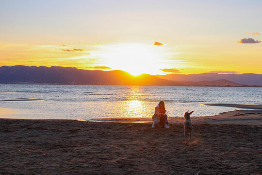 girl playing with dog on the beach at sunset