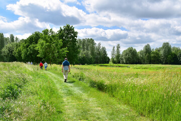 People walking in green countryside landscape in Belgium - obrazy, fototapety, plakaty