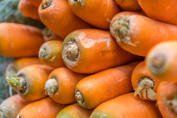 Close up of bottoms of large carrots on display in grocery store